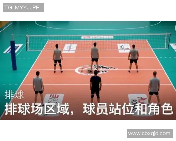 杭州排球队最新排球配合TOP10榜单揭晓引领风潮